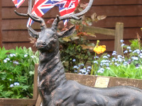 The Buxted Stag